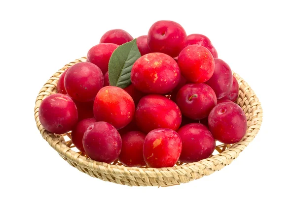 Damson plum — Stock Photo, Image