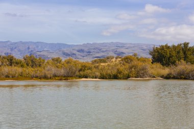 maspalomas dunas vahası