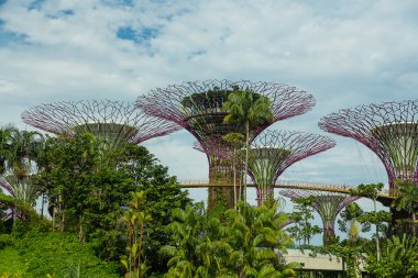 Körfez kenarındaki bahçeler