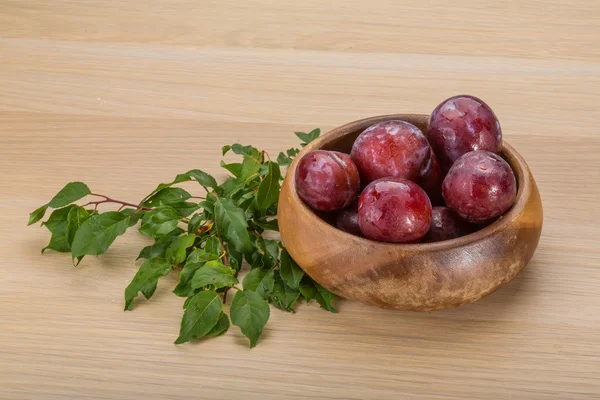 Ciruelas frescas — Foto de Stock