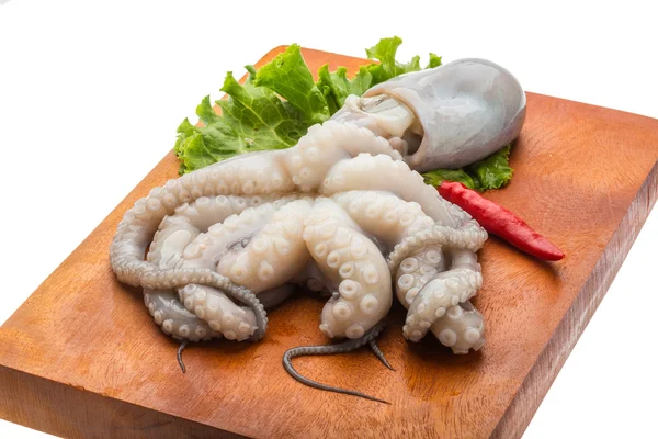 Raw octopus — Stock Photo, Image