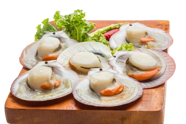 Raw fresh scallop — Stock Photo, Image