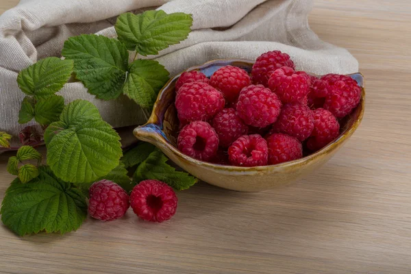 Čerstvé maliny — Stock fotografie