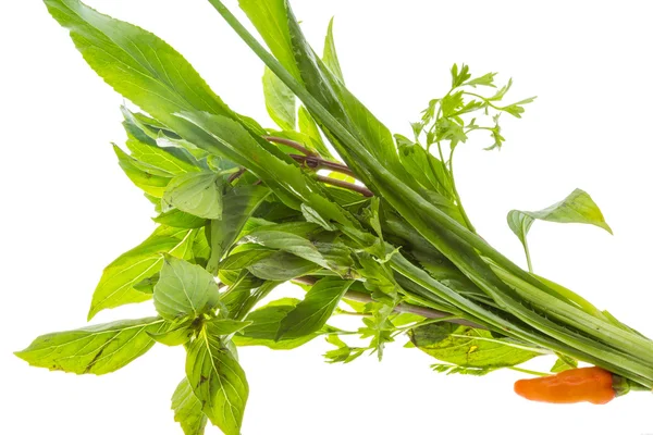 Asian herbs — Stock Photo, Image