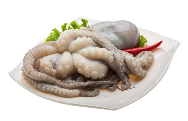 Raw octopus — Stock Photo, Image