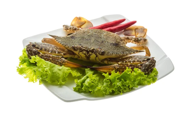 Rå krabba — Stockfoto