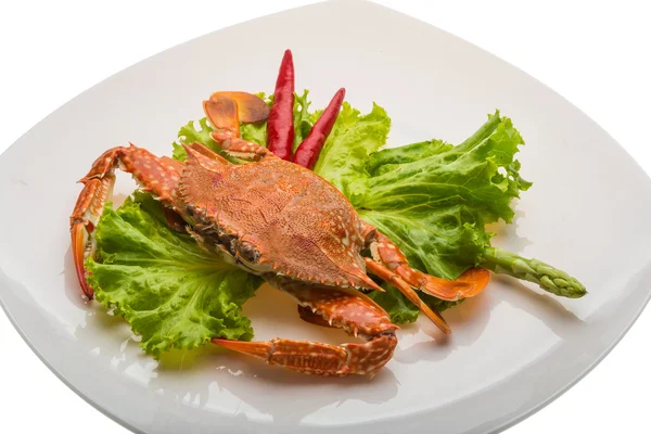 Boiled crab — Stock Photo, Image