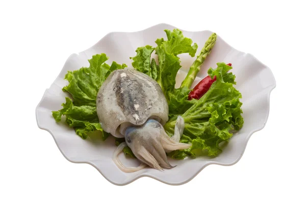 Cuttlefish crud — Fotografie, imagine de stoc