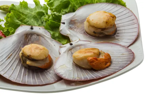 Grilled scallops — Stock Photo, Image