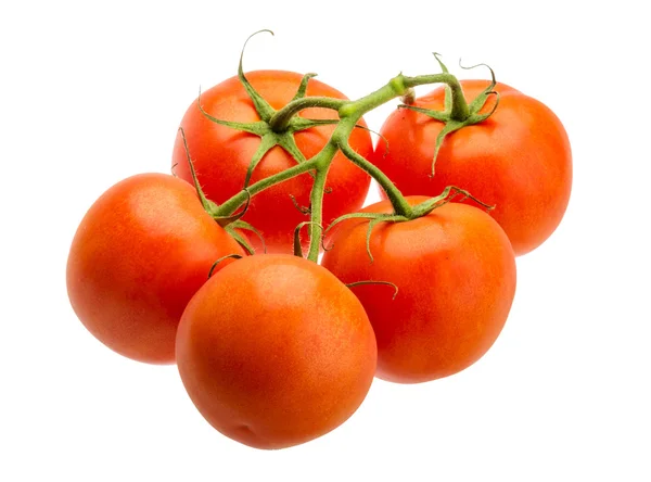 Rajčata na ratolesti — Stock fotografie