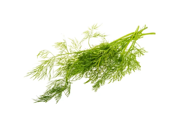 Dill branches — Stock Photo, Image