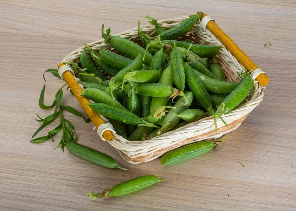 新鮮な緑の豆 — ストック写真