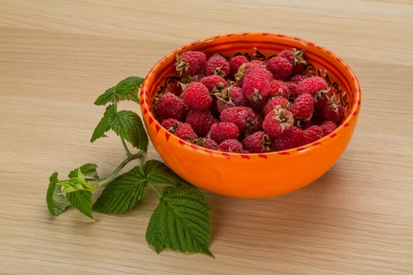 Frische Himbeeren — Stockfoto