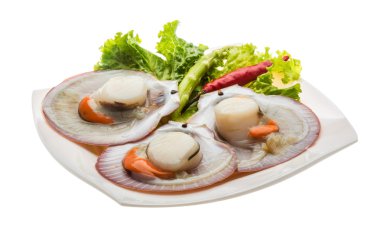 ham taze deniz tarağı