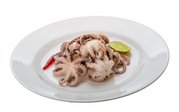 Boiled octopuses — Stock Photo, Image