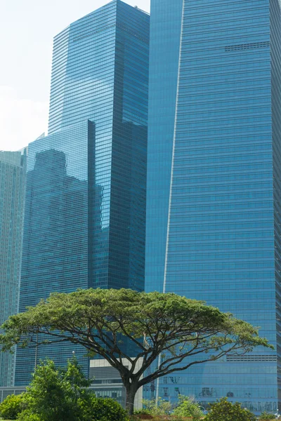 Budynki w Singapur — Zdjęcie stockowe