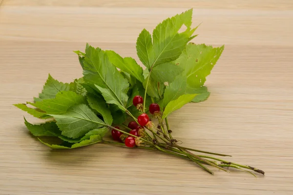 Piedra Bramble — Foto de Stock