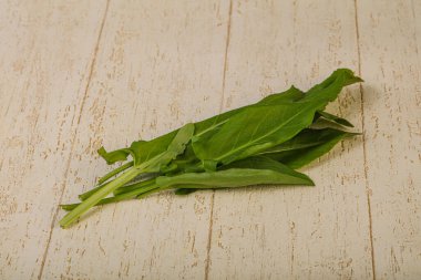 Aroma Taze yeşil kuş sürüsü