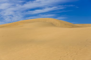 Maspalomas Duna