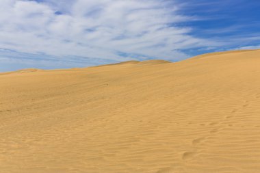 Maspalomas Duna