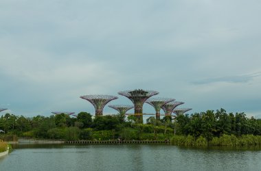 Körfez kenarındaki bahçeler