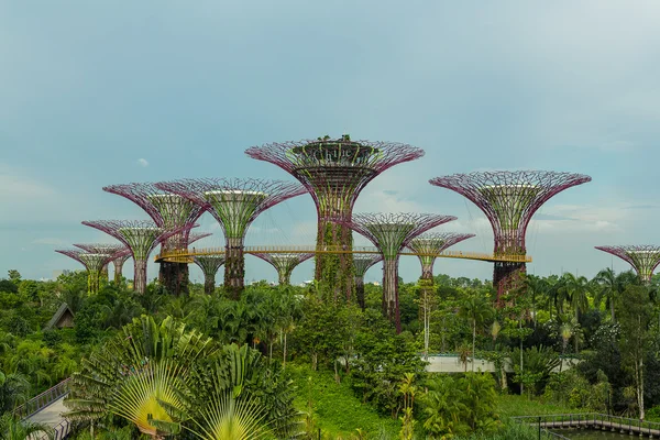 Jardins junto à Baía — Fotografia de Stock