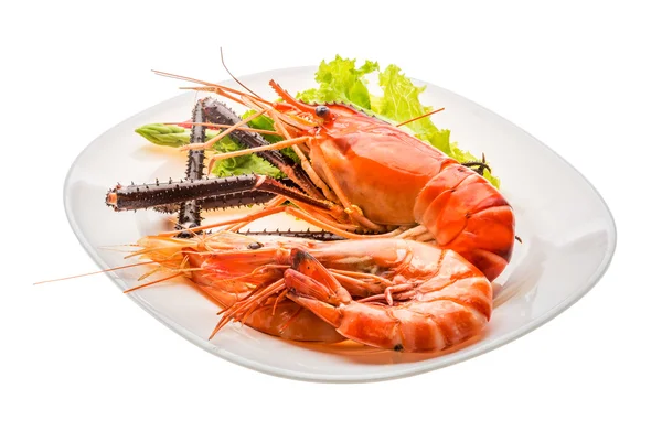 Giant Freshwater Prawn and king prawns — Stock Photo, Image