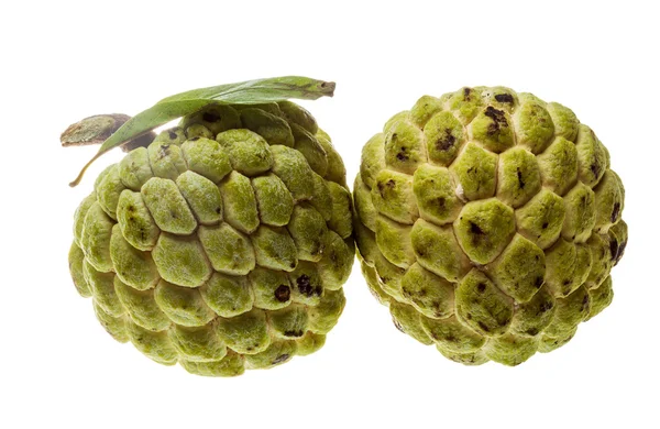 Noni fruits — Photo