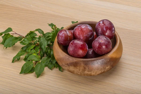 Frische Pflaumen — Stockfoto