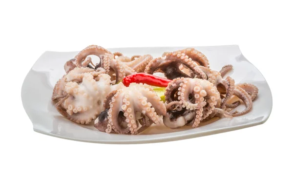 Octopus rebus — Stok Foto