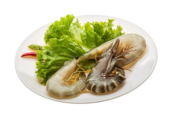King and waterleg shrimps — Stock Photo, Image