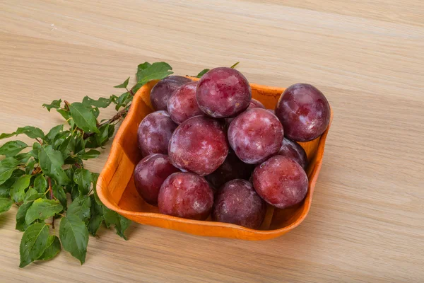 Fresh plums — Stock Photo, Image