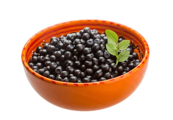 Blueberry — Stock Photo, Image