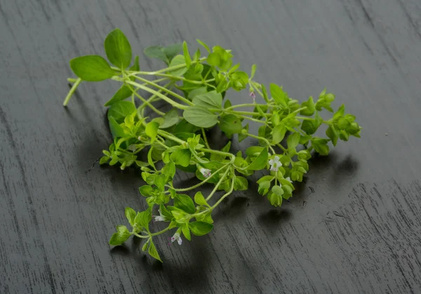 Oregano — Stock Fotó