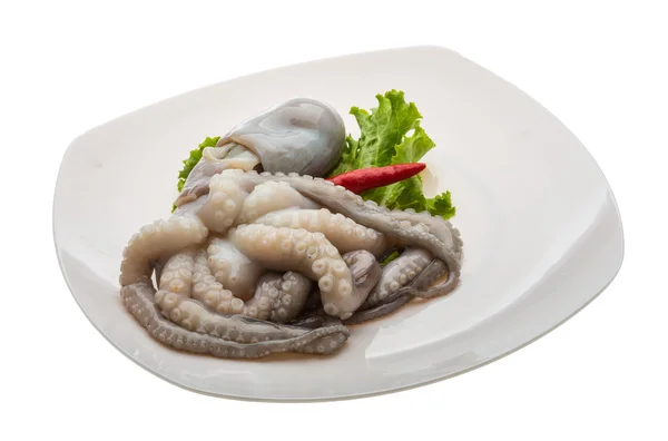 Raw octopus — Stock Photo, Image