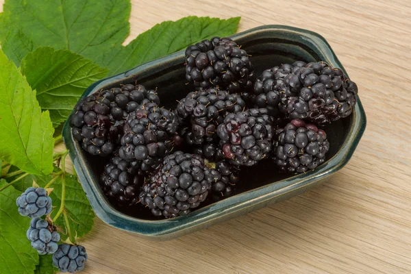 Moras frescas — Foto de Stock