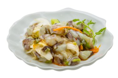 ham ahtapot salatası