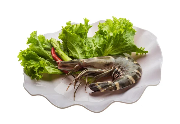 Langostino tigre — Foto de Stock