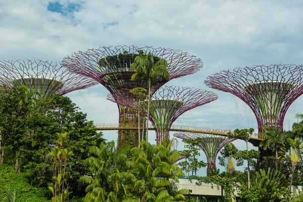 Gardens by the Bay — Stock Photo, Image
