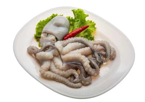 Syrové chobotnice — Stock fotografie