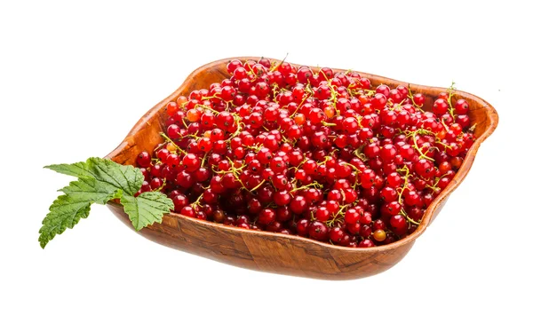 Red currant — Stock Photo, Image