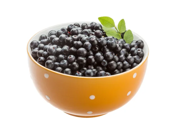 Blueberry with leaves — Stock Photo, Image