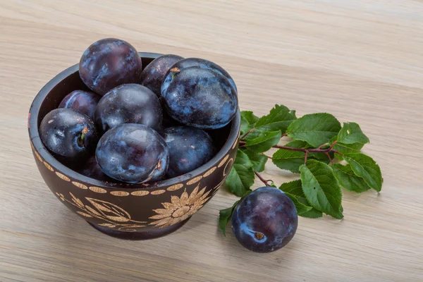 Taze Erik — Stok fotoğraf