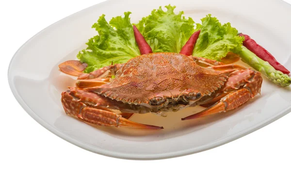 Boiled crab — Stock Photo, Image