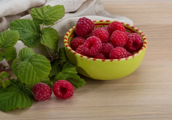 Framboise fraîche — Photo