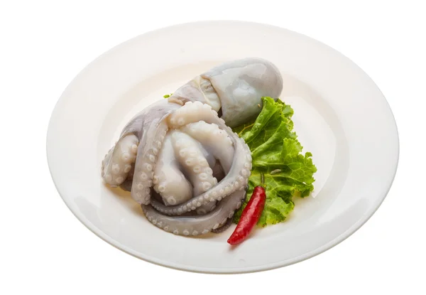 Raw octopus — Stock Photo, Image