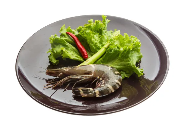 Langostino tigre — Foto de Stock