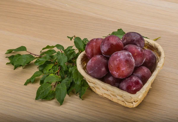 Fresh plums — Stock Photo, Image