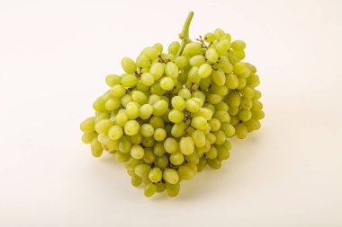 Arka planda tatlı yeşil üzüm dalı