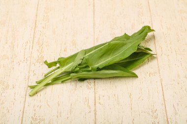 Aroma Taze yeşil kuş sürüsü